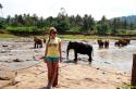Fakte interesante të Parkut Malor Mihintale në Sri Lanka