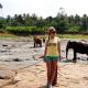 Fakte interesante të Parkut Malor Mihintale në Sri Lanka